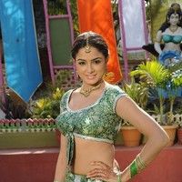 Asmitha sood hot pictures | Picture 53341